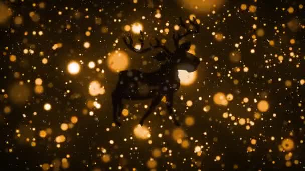 Silhouette Reindeer Walking Orange Spots Light Black Background Christmas Festivity — Stock Video