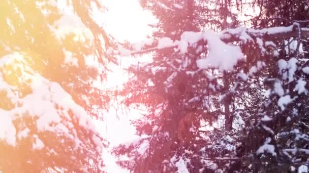 Kar Yağışı Kış Manzarasının Üzerindeki Işık Noktalarının Animasyonu Noel Kış — Stok video