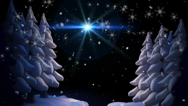 漫漫长夜的雪花飘落在星空和冬季的风景上 圣诞节 传统和庆祝概念数字制作的视频 — 图库视频影像