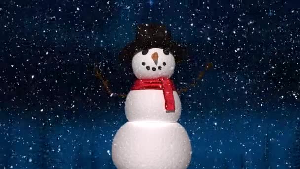 雪落在雪人身上 映衬着夜空中闪烁着蓝光的星星 圣诞节的庆祝和庆祝概念 — 图库视频影像