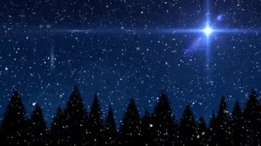 Köknar ağaçlarının üzerine düşen karların ve kış manzarasında parlayan yıldızların animasyonu. Noel, gelenek ve kutlama konsepti dijital olarak oluşturuldu.
