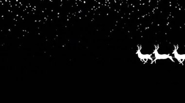 Kızak içindeki Noel Baba, siyah arka plana düşen ren geyikleri tarafından çekiliyor. Noel şenliği ve kutlama konsepti