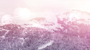 Kış manzarasında birden fazla ağacın üzerine düşen kara karşı ışık noktaları. Noel şenliği ve kutlama konsepti