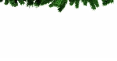 Beyaz arka planda kopyalama alanı olan yeşil noel ağacı dalları. Noel şenliği ve kutlama konsepti