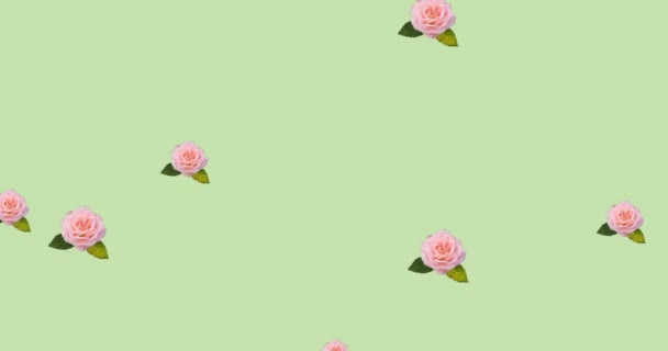 Animação Copos Flores Fundo Verde Moda Acessórios Fundo Conceito Padrão — Vídeo de Stock