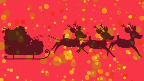 赤い背景にトナカイと一緒にそりでサンタのクラスのアニメーション クリスマス お祝いのコンセプトをデジタルで — ストック動画