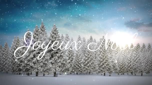 Animazione Testo Joyeux Noel Abeti Neve Che Cade Nel Paesaggio — Video Stock