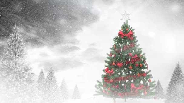 Neve Che Cade Sopra Albero Natale Più Alberi Coperti Neve — Video Stock