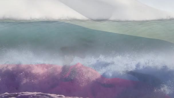 Animation Drapeau Ofrussie Soufflant Sur Paysage Marin Plage Voyage Vacances — Video