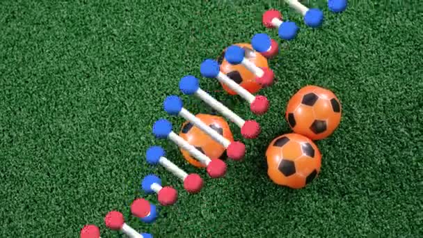 Dna链在足球上旋转的动画 全球体育运动和医学概念数码视频 — 图库视频影像
