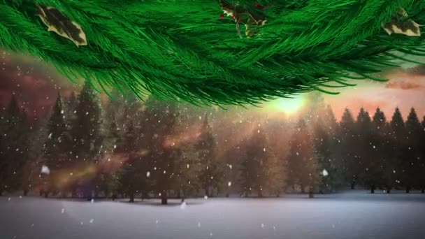Рождественский Венок Украшения Над Снегом Падает Несколько Деревьев Зимнем Ландшафте — стоковое видео
