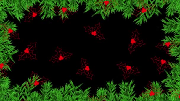 Animation Holly Black Background New Year Eve Christmas Tradition Celebration — Stock Video