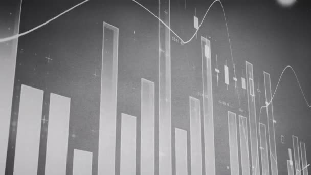 Animation Statistics Financial Data Processing Grey Background Business Finances Digital — Stock Video