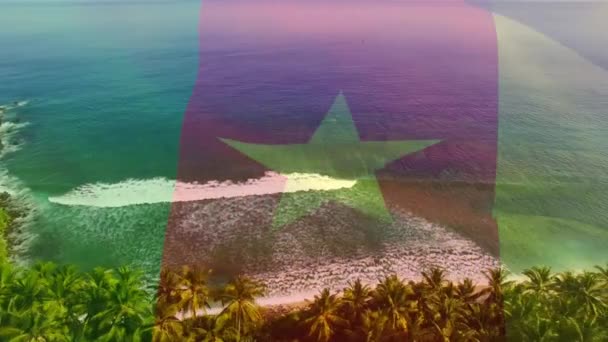 Animation Flag Cameroon Blowing Beach Seascape Travel Holidays Patriotism Celebration — Stock Video