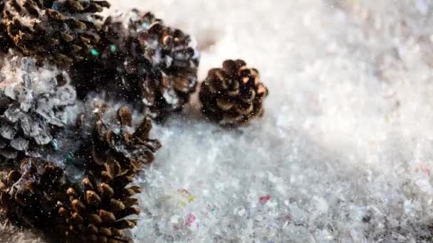 Snow Falling Multiple Pine Cones Snow Wooden Surface Christmas Festivity — Stock Video