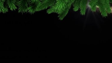 Kara arka planda köknar ağacının üzerinde hareket eden kayan yıldızın animasyonu. Noel, kış, gelenek ve kutlama konsepti dijital olarak oluşturulmuş video.