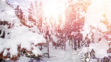 Kış manzarasına düşen karın animasyonu. Noel, kış, gelenek ve kutlama konsepti dijital olarak oluşturulmuş video.