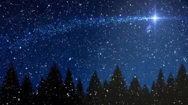 Köknar ağaçlarının üzerine düşen karların ve kış manzarasında kayan yıldızların animasyonu. Noel, gelenek ve kutlama konsepti dijital olarak oluşturuldu.
