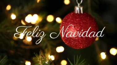 Feliz Navidad, Noel süslerinin ışık lekelerine asılmasına karşı mesaj atmış. Noel şenliği ve kutlama konsepti