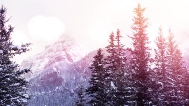 Kar yağışı ve kış manzarası üzerine parlayan ışık noktalarının animasyonu. Noel, gelenek ve kutlama konsepti dijital olarak oluşturuldu.