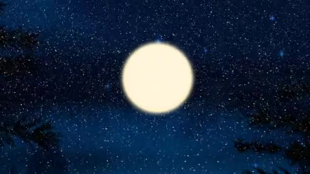 Animation Snow Falling Santa Claus Sleigh Reindeer Moon Christmas Tradition — Stock Video