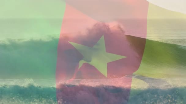 Animation Flag Cameroon Blowing Beach Seascape Travel Holidays Patriotism Celebration — Stock Video