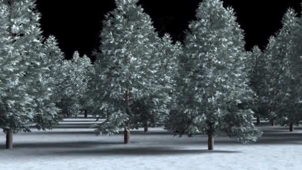 Animazione Foresta Innevata Bianco Nero Capodanno Natale Tradizione Concetto Celebrazione — Video Stock