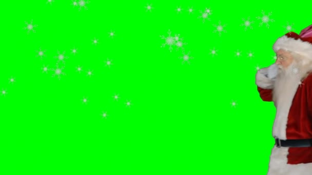 Animatie Van Kerstman Met Vinger Lippen Dragen Zak Groen Scherm — Stockvideo