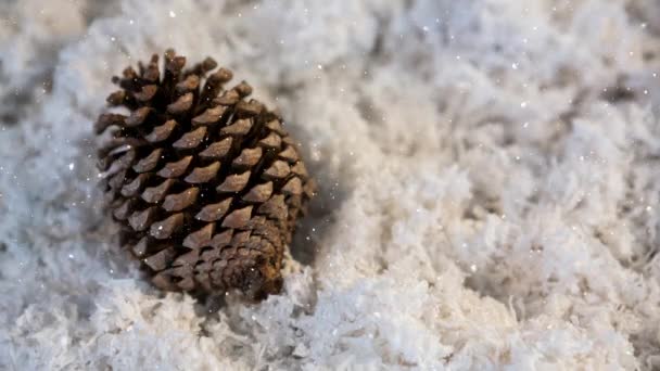 雪が木の表面に雪の上に松のコーンの上に落ちる クリスマスのお祭りの伝統とお祝いのコンセプト — ストック動画