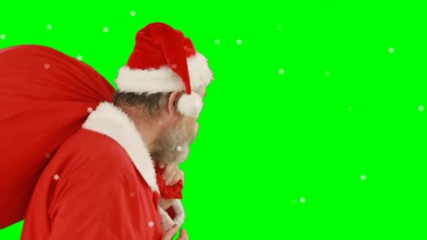 Animation Santa Claus Finger Lips Carrying Sack Green Screen Background — Stock Video