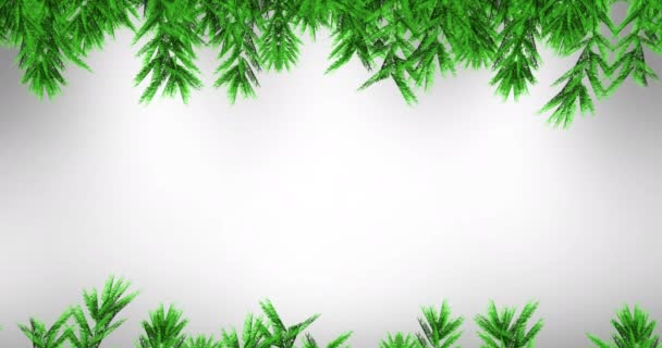 Animation Branches Sapins Sur Fond Blanc Noël Hiver Tradition Concept — Video