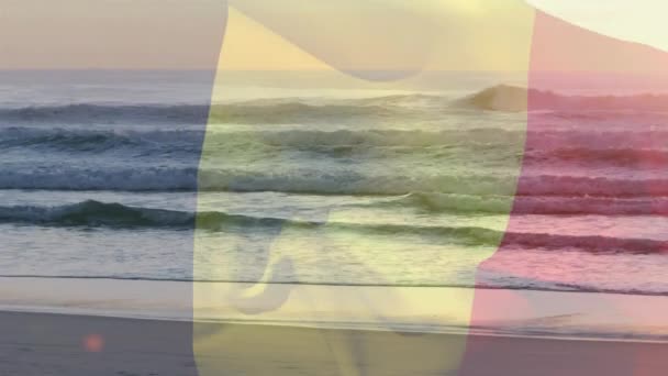 Animation Flag Belgium Blowing Beach Seascape Travel Holidays Patriotism Celebration — Stock Video