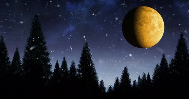 Animación Luna Llena Estrellas Bosque Paisaje Nocturno Naturaleza Noche Tranquilidad — Vídeo de stock