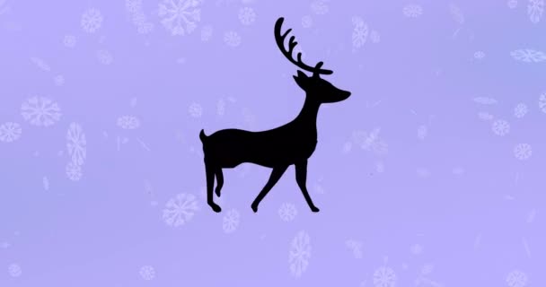 Black Silhouette Reindeer Walking Snowflakes Falling Purple Background Christmas Festivity — Stock Video