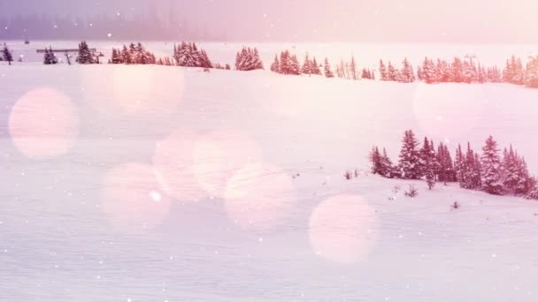 Анимация Светящихся Точек Света Над Снегопадом Зимним Пейзажем Рождество Традиции — стоковое видео