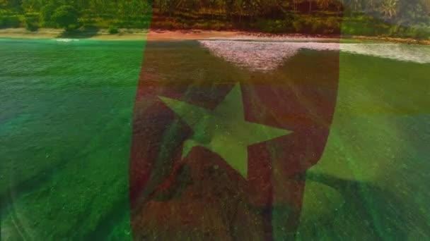 Анімація Прапора Камеруну Дме Над Пляжним Ландшафтом Подорожі Свята Патріотизм — стокове відео