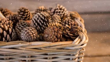 Tahta yüzeydeki bir sepette birden fazla kozalağın üzerine kar yağıyor. Noel bayramı geleneği ve kutlama konsepti