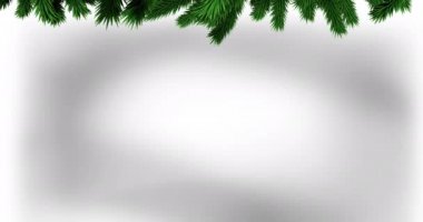 Yeşil noel ağacı dalları ve gri arka planda kopyalama alanı. Noel şenliği ve kutlama konsepti