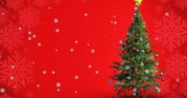 Kırmızı arka planda, Noel ağacının üzerine düşen kar animasyonu. Noel, gelenek ve kutlama konsepti dijital olarak oluşturuldu.