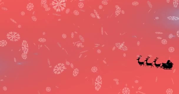 赤い背景に降る雪の上にトナカイと一緒にそりでサンタクラスのアニメーション クリスマス お祝いのコンセプトをデジタルで — ストック動画