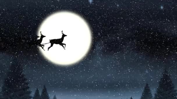 Święty Mikołaj Saniach Ciągnięty Przez Reniferów Przeciwko Choince Księżycowi Nocnym — Wideo stockowe