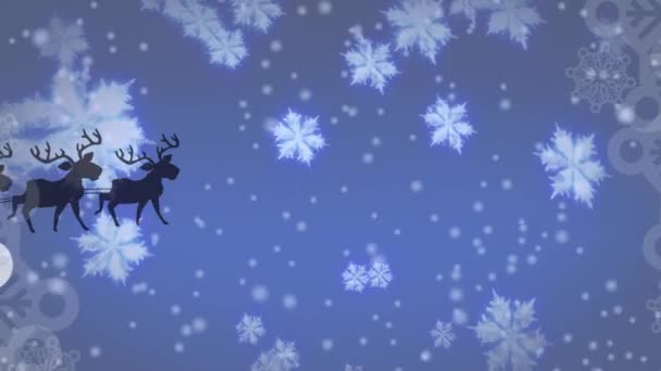 Animatie Van Kerstman Slee Met Rendieren Bewegen Vallende Sneeuw Kerstmis — Stockvideo