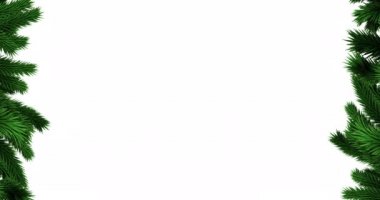 Köknar ağaçlarının beyaz arka planda dallanması. Noel, kış, gelenek ve kutlama konsepti dijital olarak oluşturulmuş video.