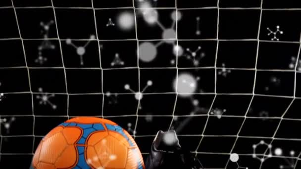 Animation Networks Connections Falling Soccer Balls Global Sports Celebration Concept — Stock Video