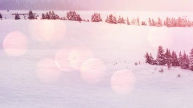 Kış manzarasında birden fazla ağacın üzerine düşen kara karşı ışık noktaları. Noel şenliği ve kutlama konsepti