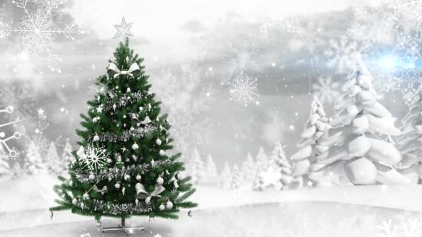 Снег Падает Елку Множество Заснеженных Деревьев Зимнем Ландшафте Рождественский Праздник — стоковое видео