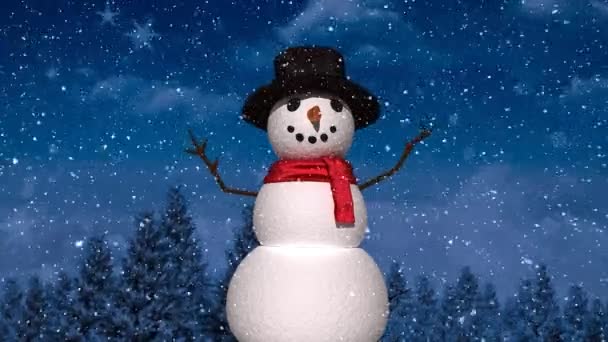 雪花飘落 雪人在冬日的风景与夜空的映衬下 圣诞节的庆祝和庆祝概念 — 图库视频影像