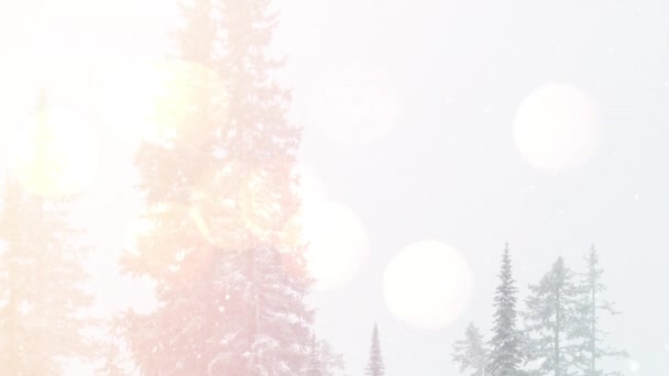 冬の風景の中に複数の木の上に降る雪に対する光のスポット クリスマス フェスティバルとお祝いのコンセプト — ストック動画