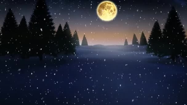 Animation Von Schnee Der Über Tannenbäume Und Mond Winterlicher Landschaft — Stockvideo