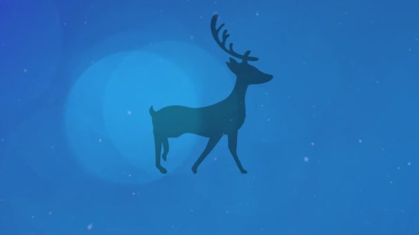 Light Spots Snow Falling Silhouette Reindeer Walking Blue Background Christmas — Stock Video